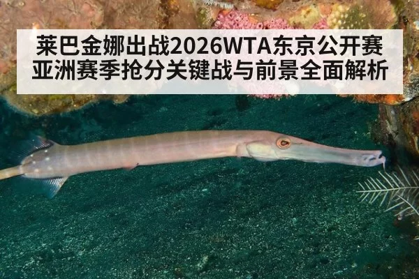 莱巴金娜出战2026WTA东京公开赛亚洲赛季抢分关键战与前景全面解析