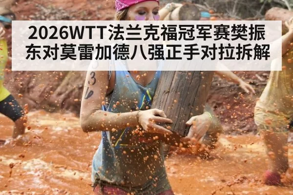 2026WTT法兰克福冠军赛樊振东对莫雷加德八强正手对拉拆解
